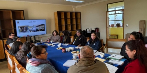 Dalcahue refuerza trabajo interinstitucional para avanzar en inclusión y accesibilidad universal