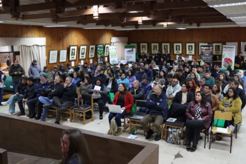 Productores participaron en capacitación sobre cultivo y mercado de berries en Freire