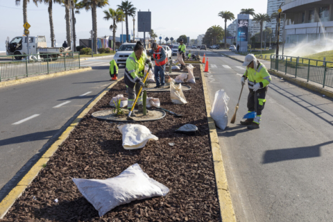 Municipio de Coquimbo destinará más de $700 millones para recuperación de espacios públicos