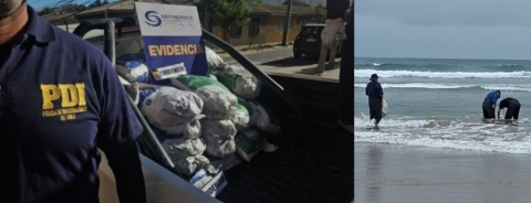 Operativo en Caldera deja nueve detenidos por extracción ilegal de machas