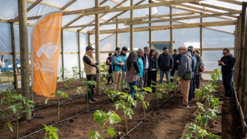 Cobquecura inaugura primera unidad demostrativa de papayos en Ñuble