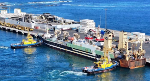 Puerto de Iquique inicia operaciones de buques factoría con descarga de 4.750 toneladas de jurel