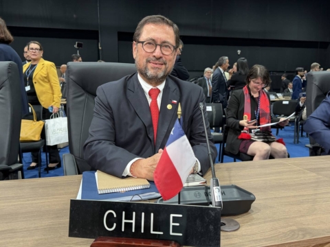 Chile en la OEA: ''absoluto respaldo'' al gobierno de Rodrigo Paz en Bolivia