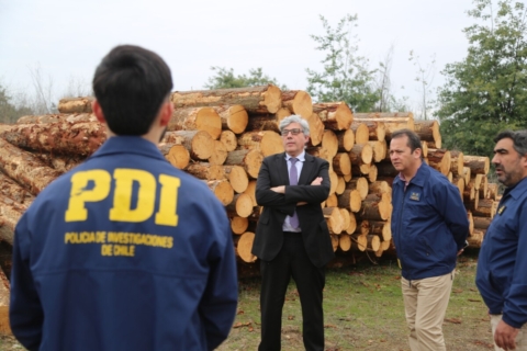 Incautaciones por $3 mil millones al desarticular red de robo de madera