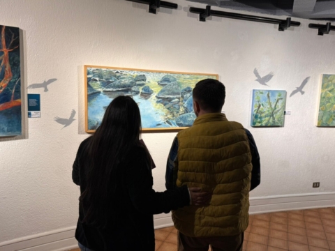 Exposición “Azkintun” aborda la relación entre naturaleza y cultura desde una mirada mapuche
