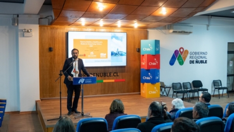 Seminario abordó oportunidades comerciales de Asia para empresas y pymes de Ñuble