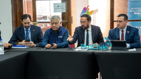 Ñuble avanza en coordinación público-privada para fortalecer el comercio exterior