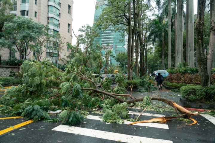 Chilquinta busca reponer luz en región de Valparaíso y asegura que responderá ante la SEC