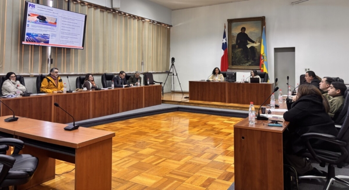 Consejo de Seguridad de San Bernardo revisó avances del plan comunal Consejo de Seguridad de San Bernardo revisó avances del plan comunal