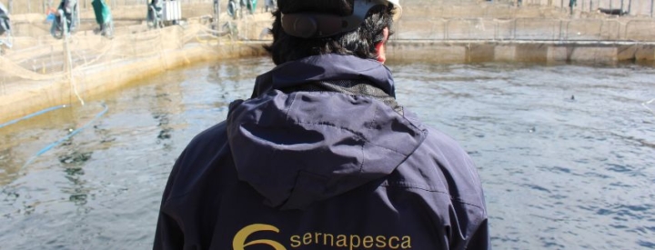 Suprema ratifica multa contra empresa salmonera por contaminar fondo del Lago Llanquihue