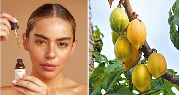 Proyecto transforma residuos de papaya chilena en ingrediente cosmético con potencial comercial