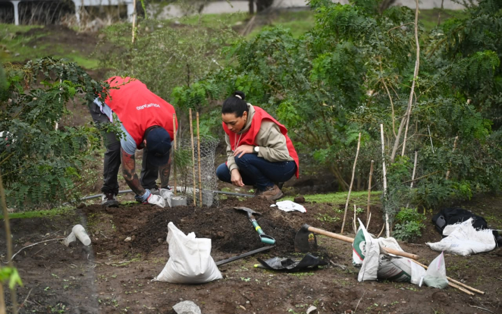 PLANTACION-HUECHURABA-1