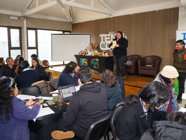 Emprendedores rurales de Temuco fortalecen sus marcas con taller de imagen corporativa