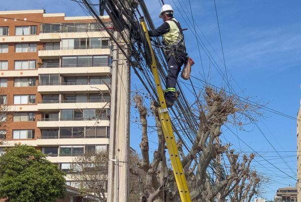 Viña del Mar retira casi 13 mil metros de cables en desuso