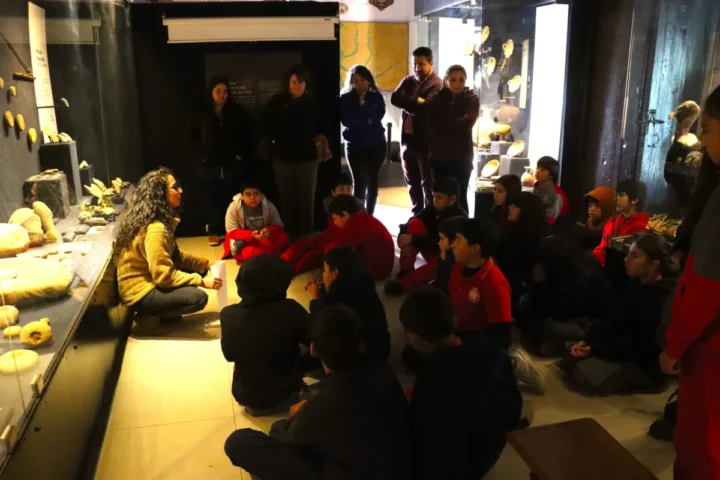 U. de Valparaíso cerró proyecto que vinculó a colegios del Valle de Aconcagua con actividades científicas y culturales
