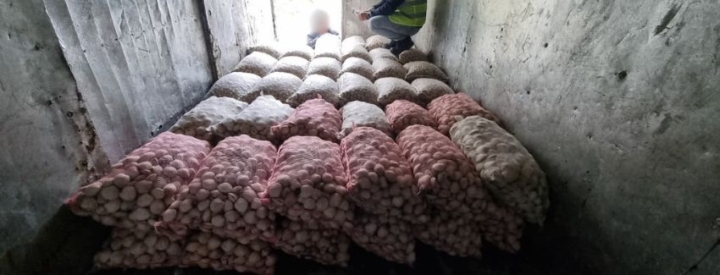 Incautan más de 8,6 toneladas de recursos marinos transportados ilegalmente en Chacao