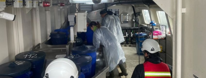 Detectan virus ISA en centro salmonero de Aysén y activan vigilancia sanitaria en el área