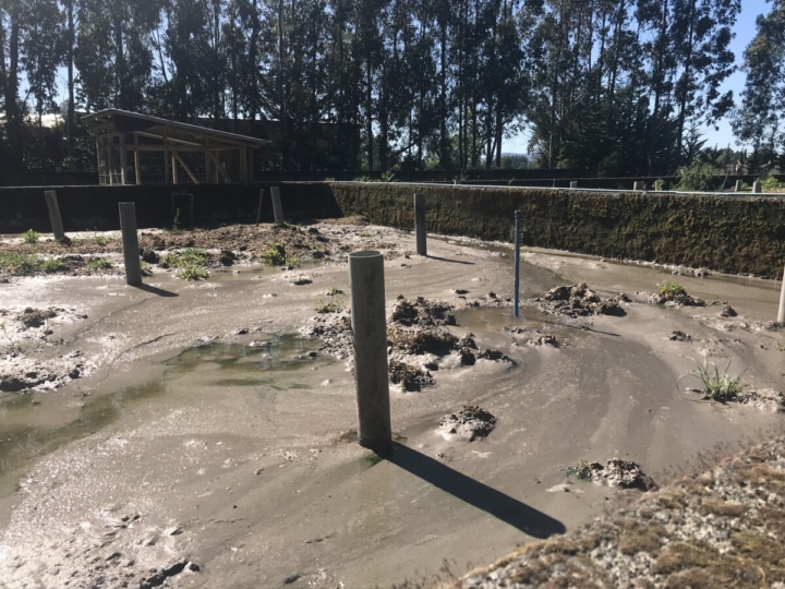 SMA multa con más de $669 millones a sanitaria por incumplimientos ambientales en La Araucanía