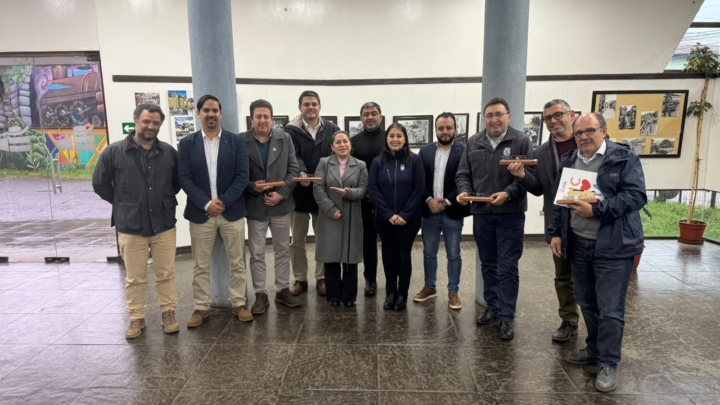 Alcaldes de Arauco y Malleco piden participar en decisiones del Gobierno sobre sus territorios