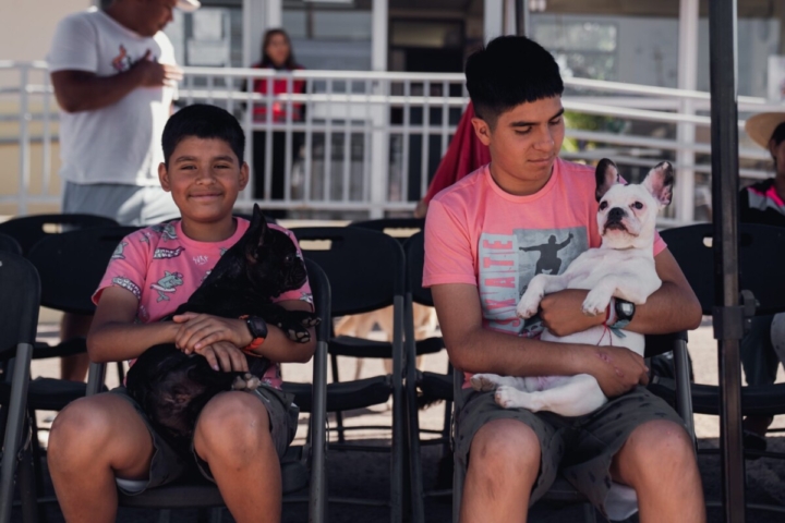Clínica veterinaria móvil atenderá gratuitamente a mascotas de 12 caletas de Tarapacá