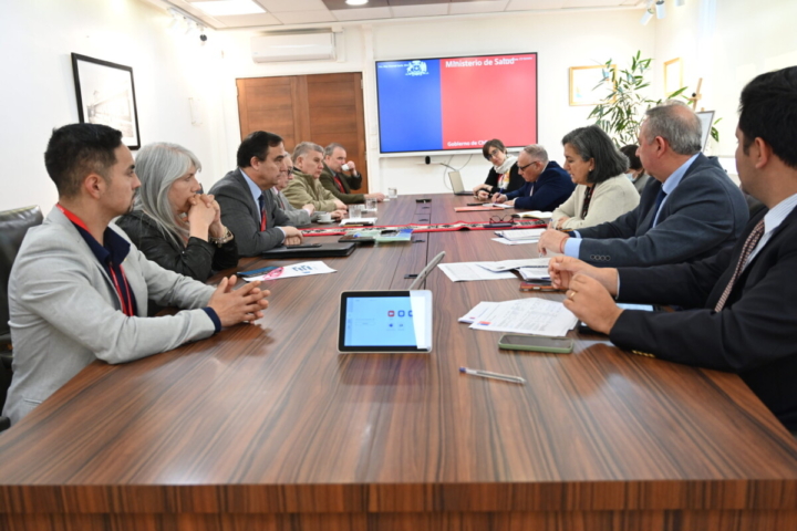 Magallanes plantea al Gobierno urgencias en salud y vivienda para avanzar en soluciones territoriales
