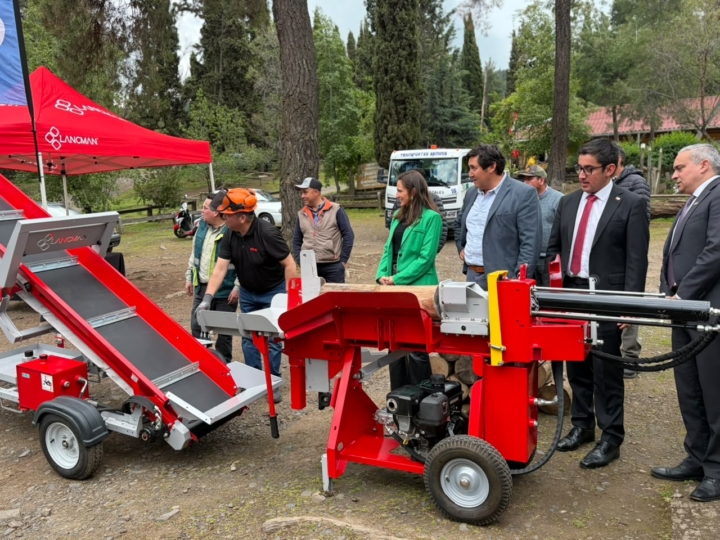 Maule impulsa nuevas oportunidades para pymes madereras mediante el uso energético de la biomasa forestal