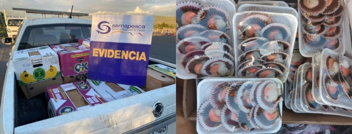 banner-incautacionostiones-tongoy